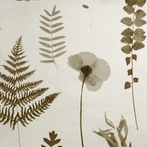Clarke & Clarke Tapete Herbarium charcoal/gold