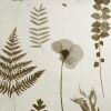 Clarke &amp; Clarke Tapete Herbarium charcoal/gold