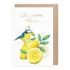 Gr&auml;tz Doppelkarte Geburtstag mit Kuvert Vogel auf Zitrone