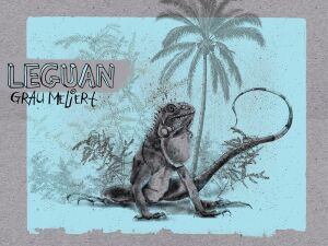 Lillestoff Jersey Leguan, Rapport 80cm