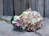 Chic Antique Fleur Hortensie mit Bl&auml;tter