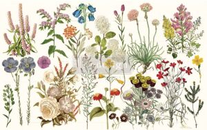 Vintage Paint Redesign Decoupage Tissue Paper Wild Herbs