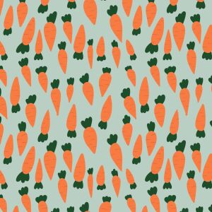Lillestoff Jersey Stoff Karottenfest