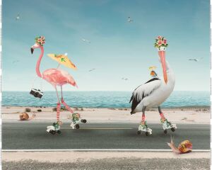 Stenzo Jersey Stoff Flamingo &amp; Storch mit Rollschuh, Rapport